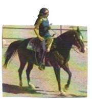 Photo of Nancy W.