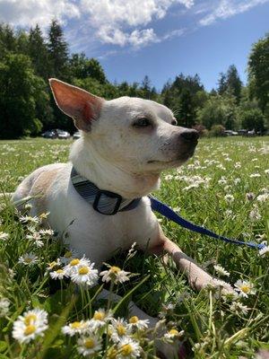 photo of Christiana M.