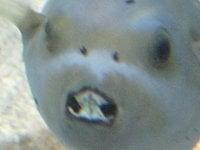 photo of Jennifer K.