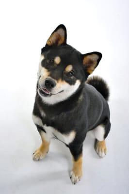 photo of Sonja Stolzenberg R.