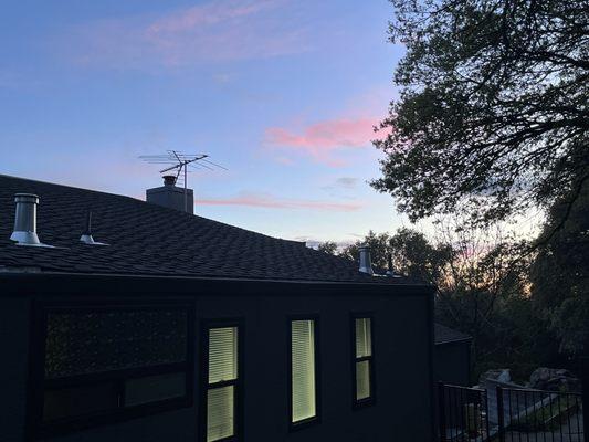 photo of Evangeline G.