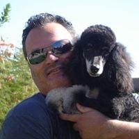 Photo of Shane H.