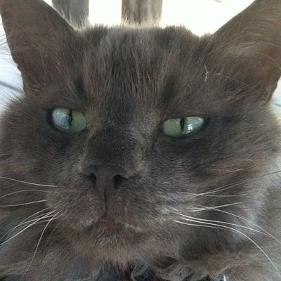 photo of Scratchman S.