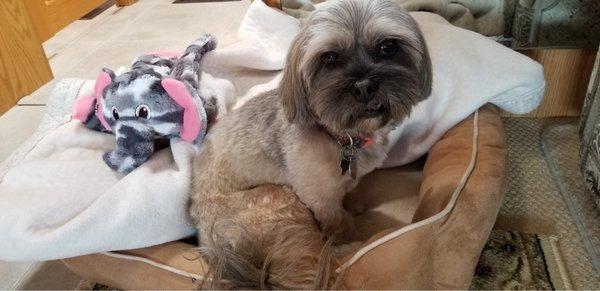 photo of Brittney S.