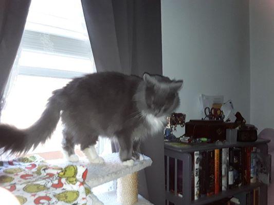 photo of Debi W.