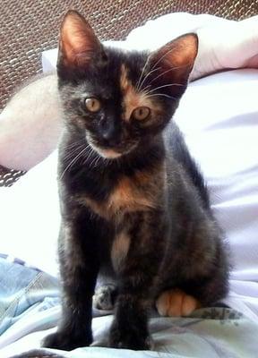photo of Chloe S.