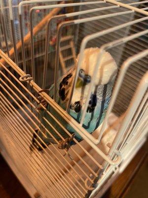 photo of Patricia R.