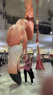 photo of Courtenay O.