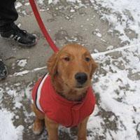 Photo of Jake P.