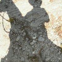 Photo of Mike M.