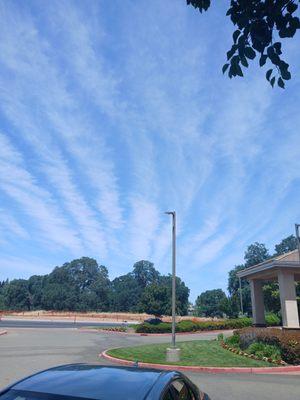 photo of Mike William D.