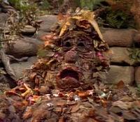 Photo of Trash H.