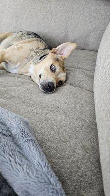 photo of Christopher C.