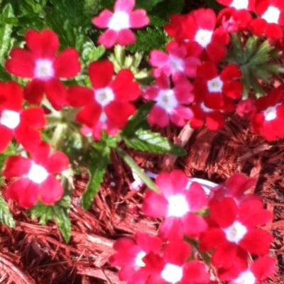 photo of Mackenzie K.