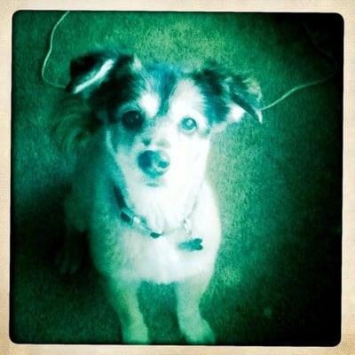 photo of Kathleen S.