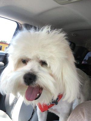 Photo of Cute P.