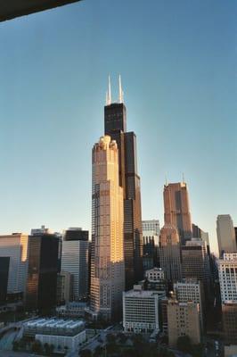 Photo of Jaime T.