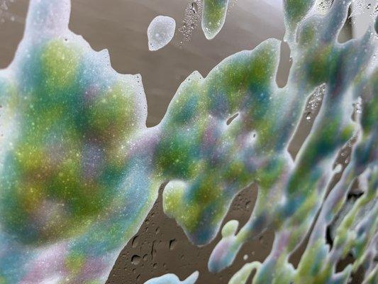 Photo of Shawntel D.