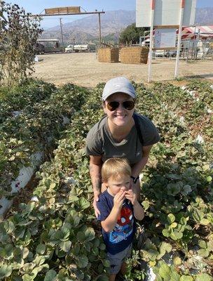 photo of Brittany B.