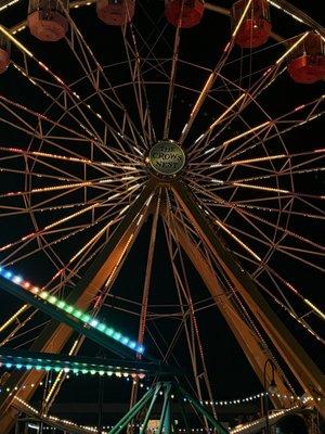 Photo of Alexander J.