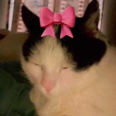 photo of Brittany B.