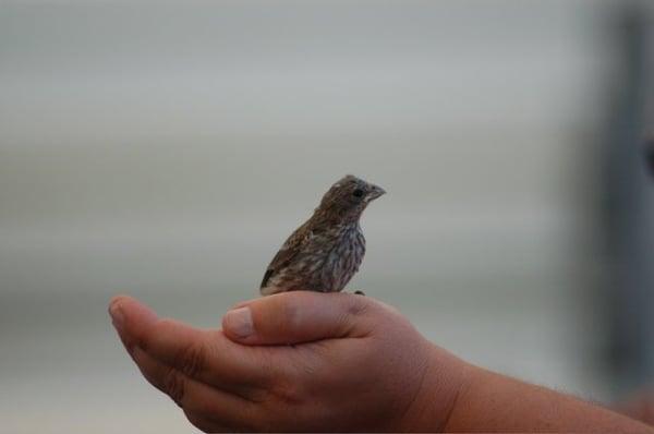 photo of Caroline L.