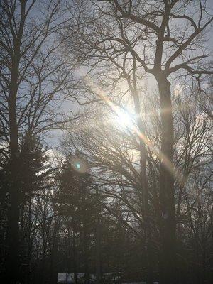 photo of Anne Marie S.