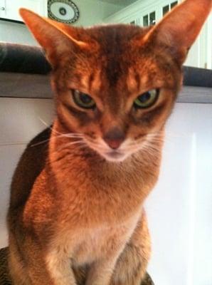 photo of Kathleen B.