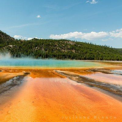 photo of Julianne B.