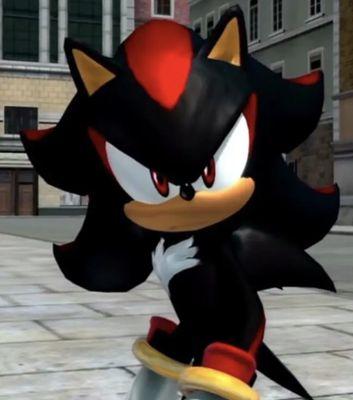 Photo of Shadow B.