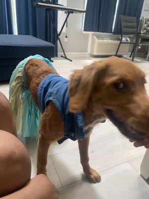 Photo of Desiree’s W.