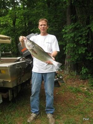 Photo of Paul L.