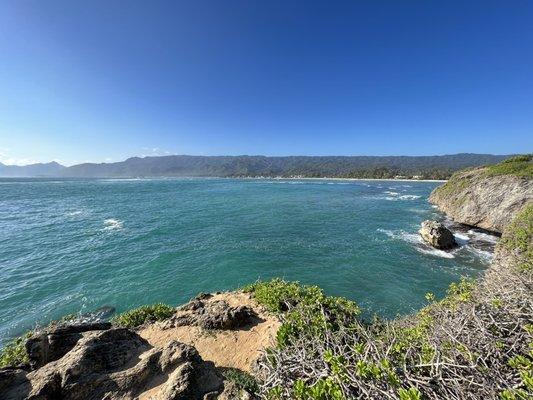 photo of Maileilani K.