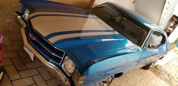 Photo of Fernando T.