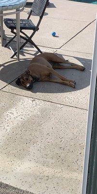 photo of Nicholas W.