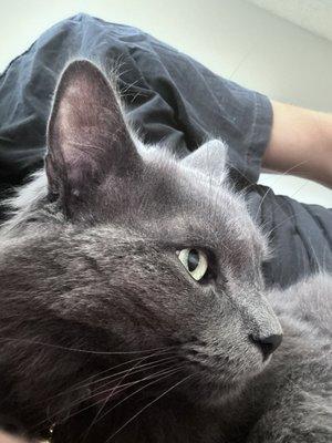Photo of Huges D.