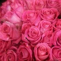 photo of Jennifer A.