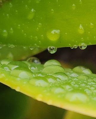 photo of Emmanuel F.