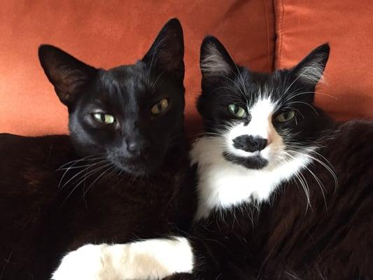 photo of Consuelo J.