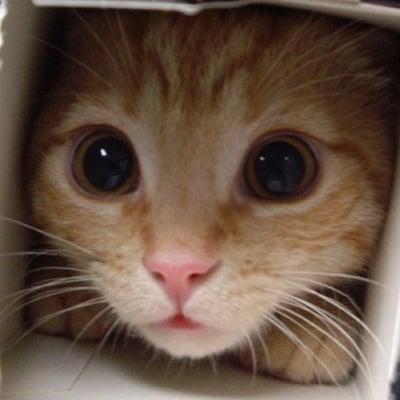 photo of Elizabeth W.