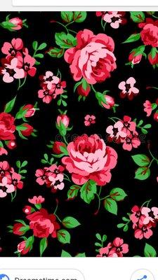 photo of Samantha R.