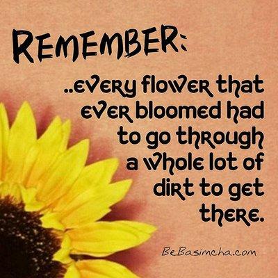 photo of Jennifer Q.