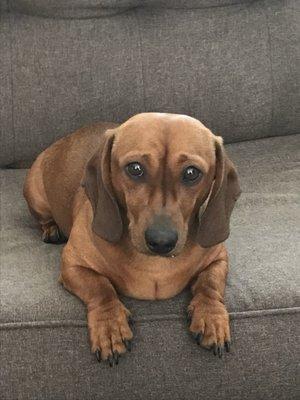 photo of Brody E.
