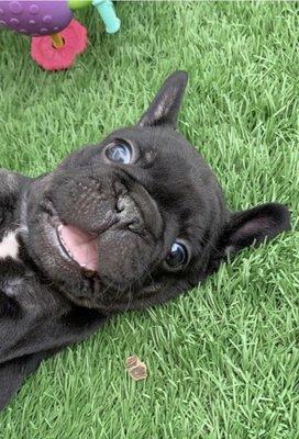 photo of Bernadette S.