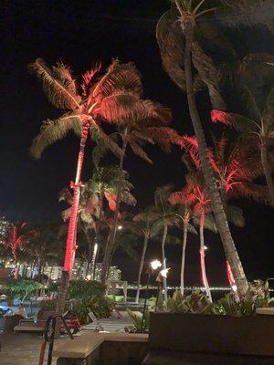 photo of Lovecupcakes L.