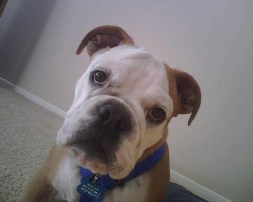 Photo of Mikki B.