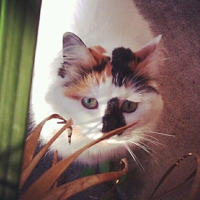 photo of Jennifer S.