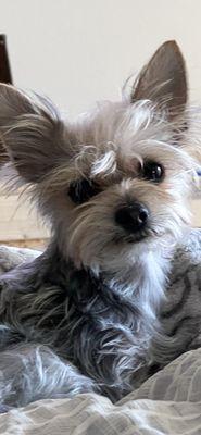 photo of cherie ..