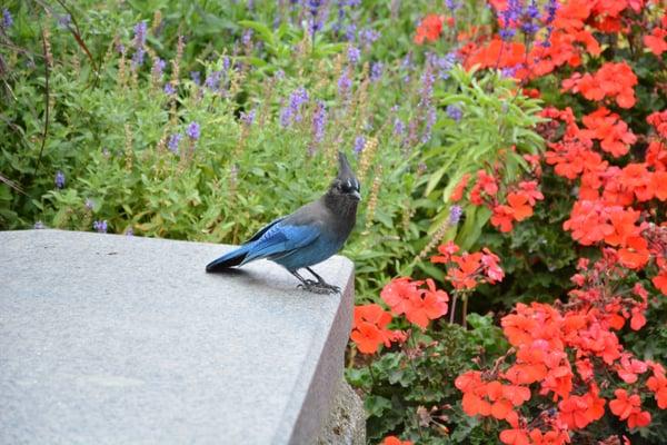 photo of Pakaporn P.