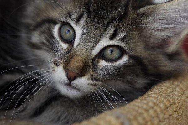 photo of Jennifer P.